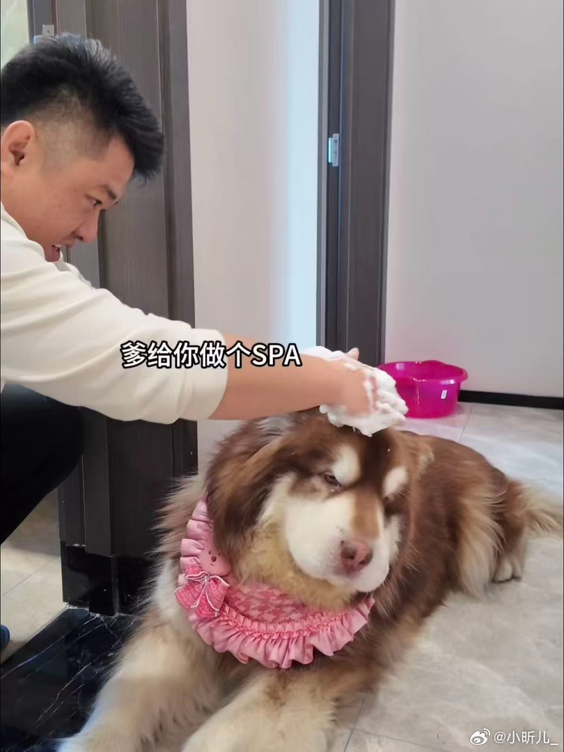 二月二笑到停不下来！美团会员洗剪吹好彩头大赛也太有梗了，朵拉头、奇葩Tony翻车