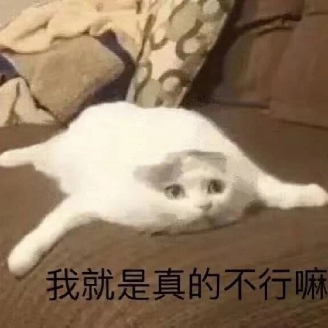 今天的表情包 ​​​