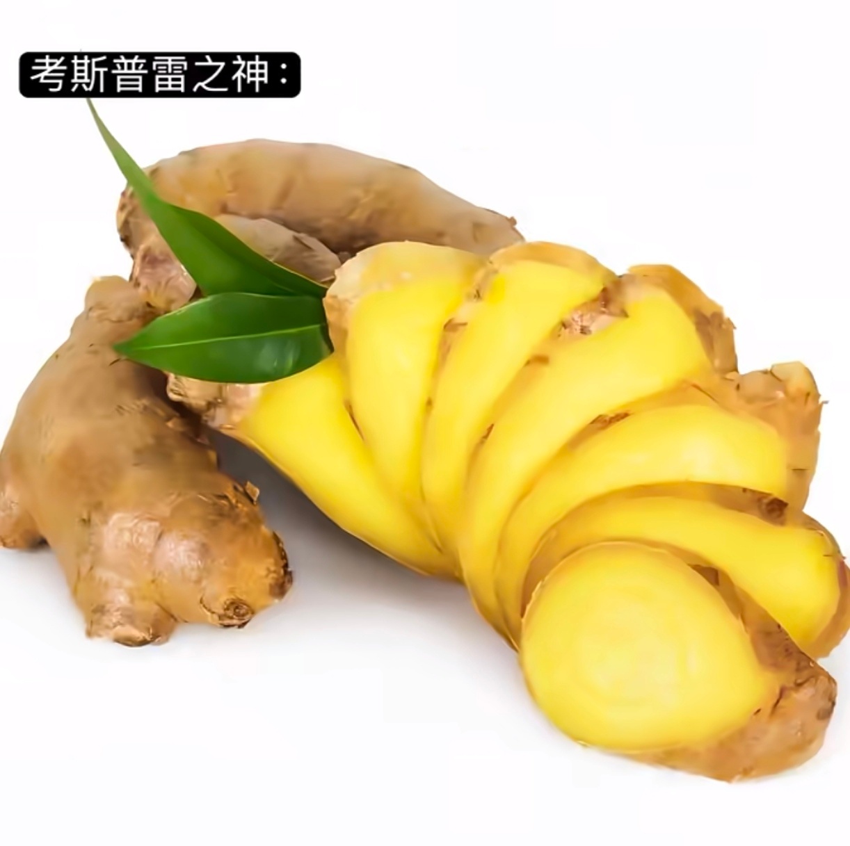 全宇宙最阴的物件 全世界最精密的东西都在这里了，每一个的苦都吃过 