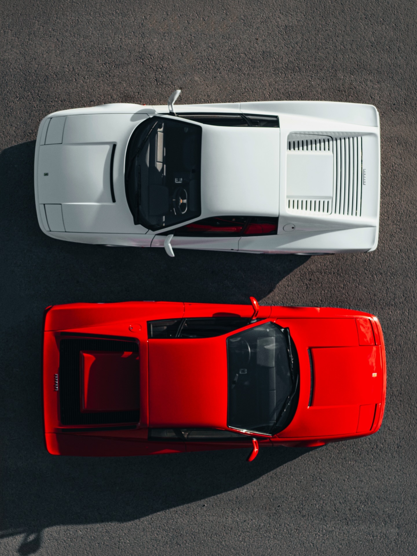 Ferrari Testarossa & 512 TR （by Piotr Ka