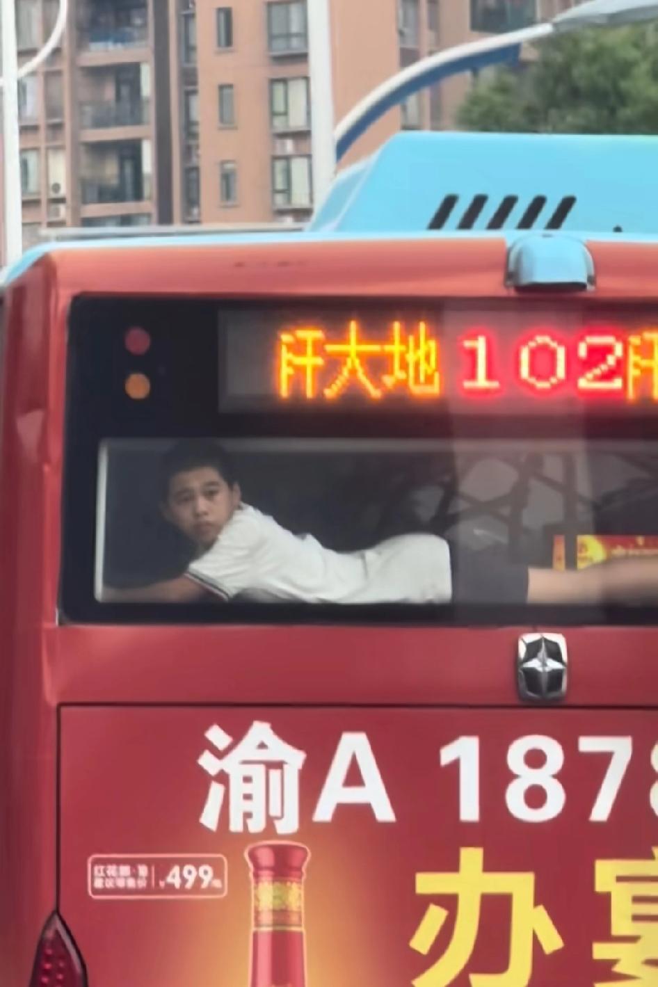 同样两块钱为什么他可以睡卧铺！竟有此等尤物，娃娃大了，你们好歹给人家加个窗帘嘛