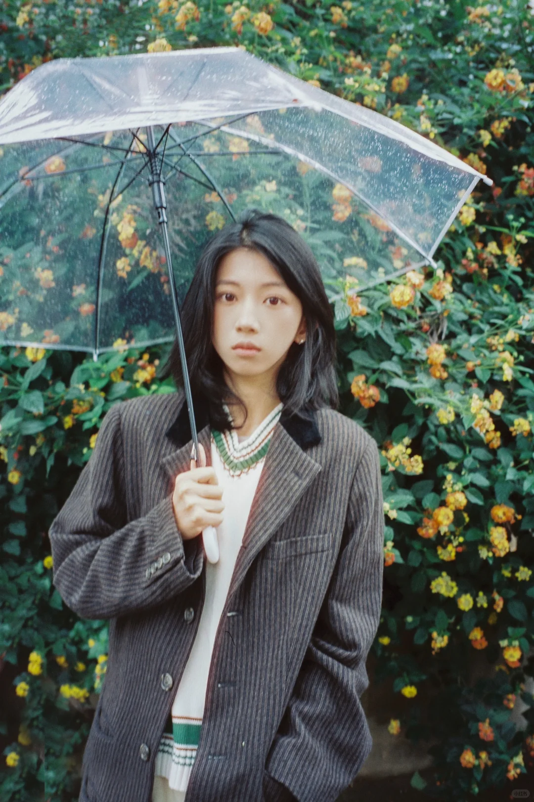 rainy day_