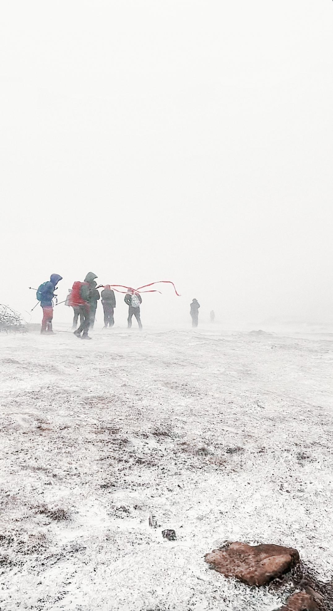 四月的北京，本该是樱花纷飞、暖风拂面的时节，可东灵山却在这个季节悄然白了头。坐标