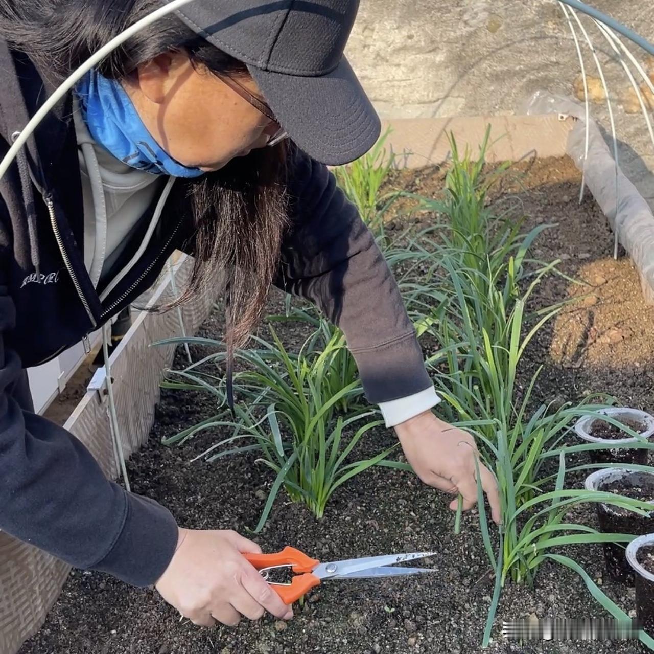 现在的人，说实话，多多少少都有点“毛病”。
不是大病，就是焦虑、内耗、睡不好、想