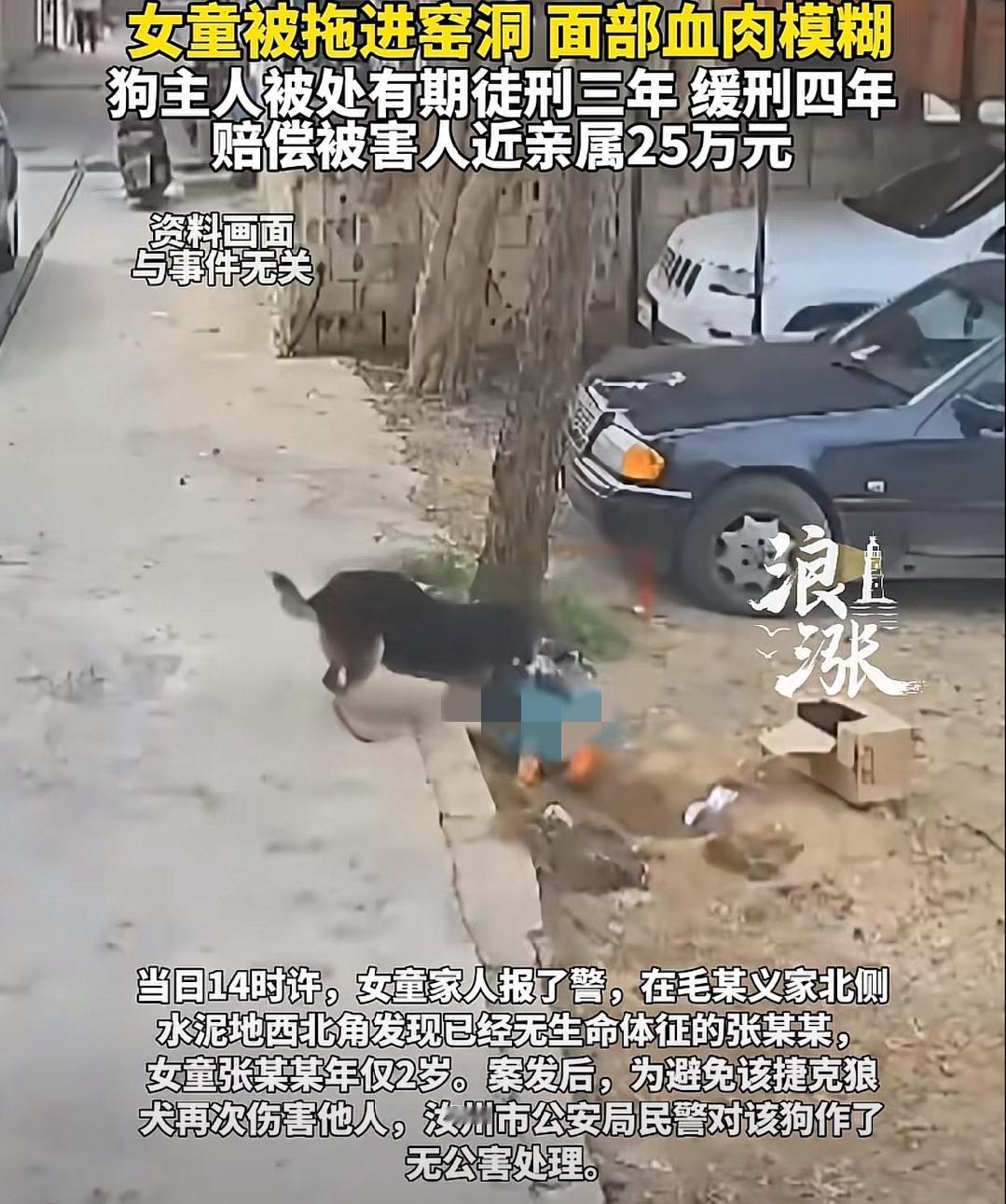 “人怎么可以这么没脑子”！河南汝州，一48岁男子，在开放式窑洞内，养了一条捷克狼