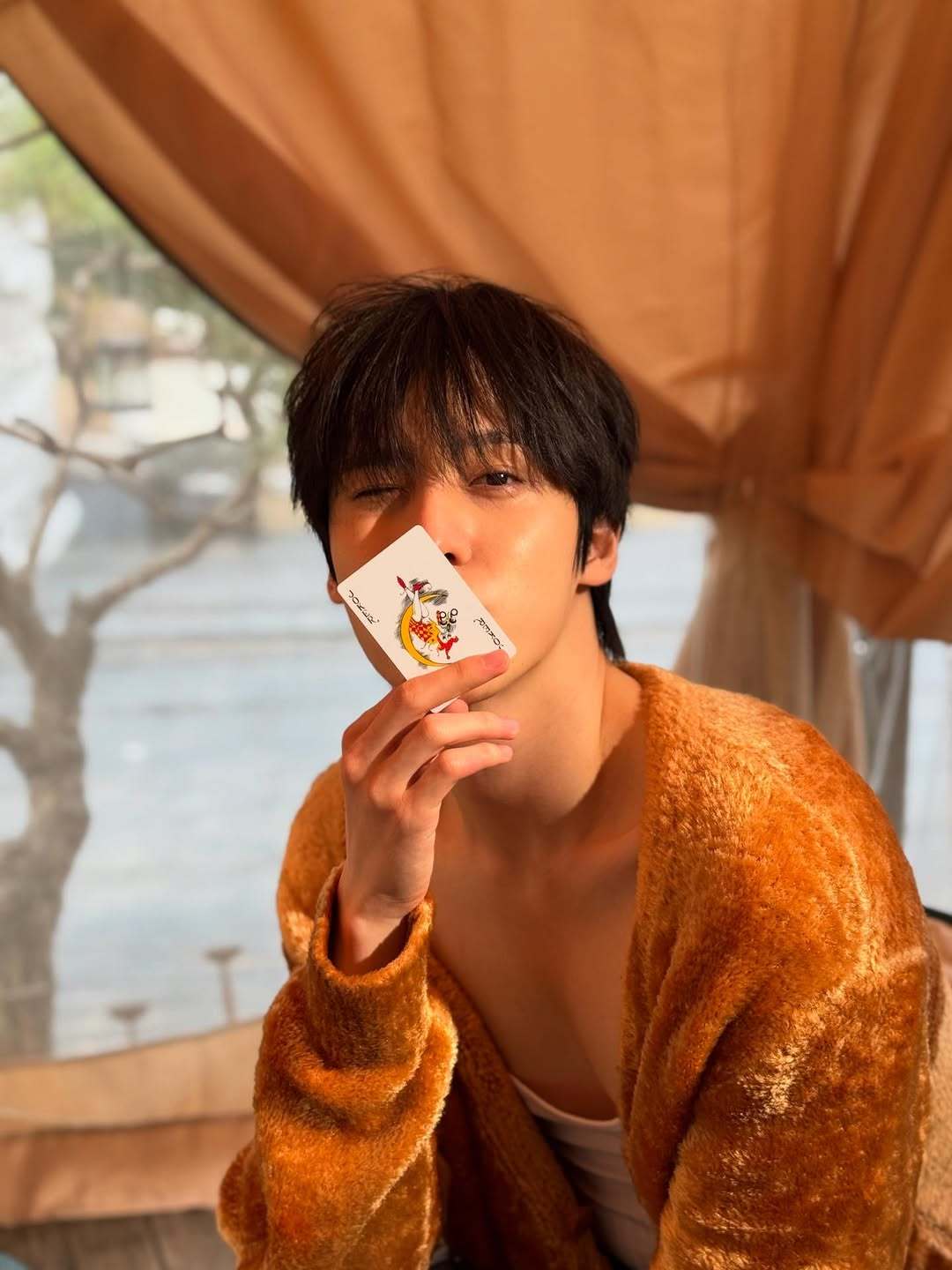 烧感哥😋 