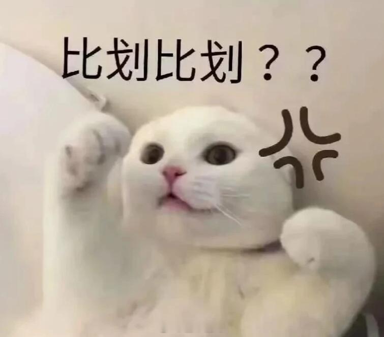 李连杰不担心AI取代功夫AI或许能取代一部分工作，但做到真正取代功夫这种艺术是不