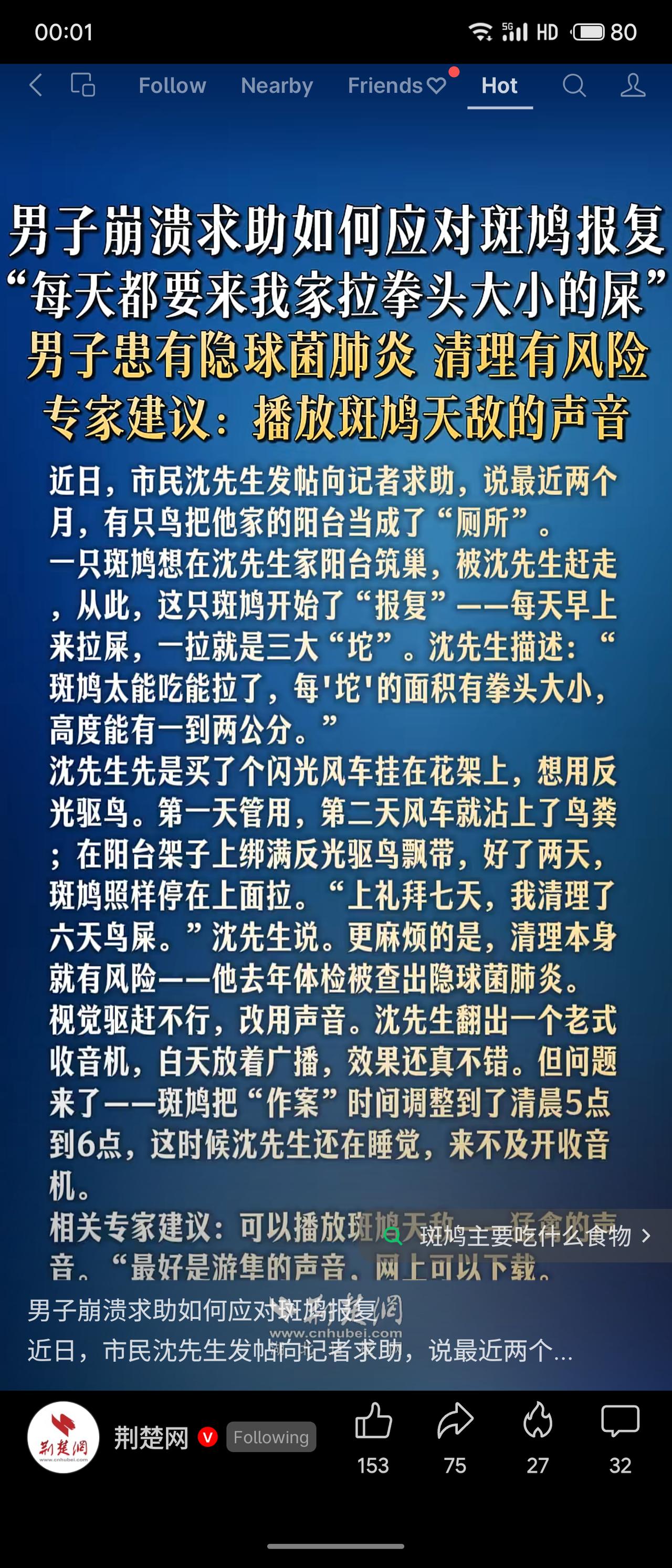 男子因赶走欲在阳台筑巢的斑鸠，遭其每日清晨拉“拳头大”粪便报复。他用闪光风车、反