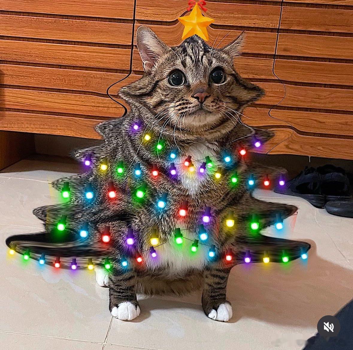 🎄 