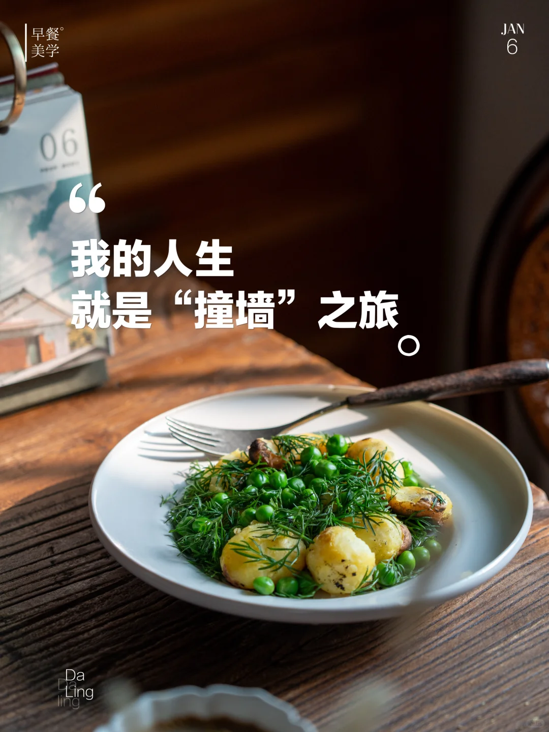 我的人生就是“撞墙”之旅