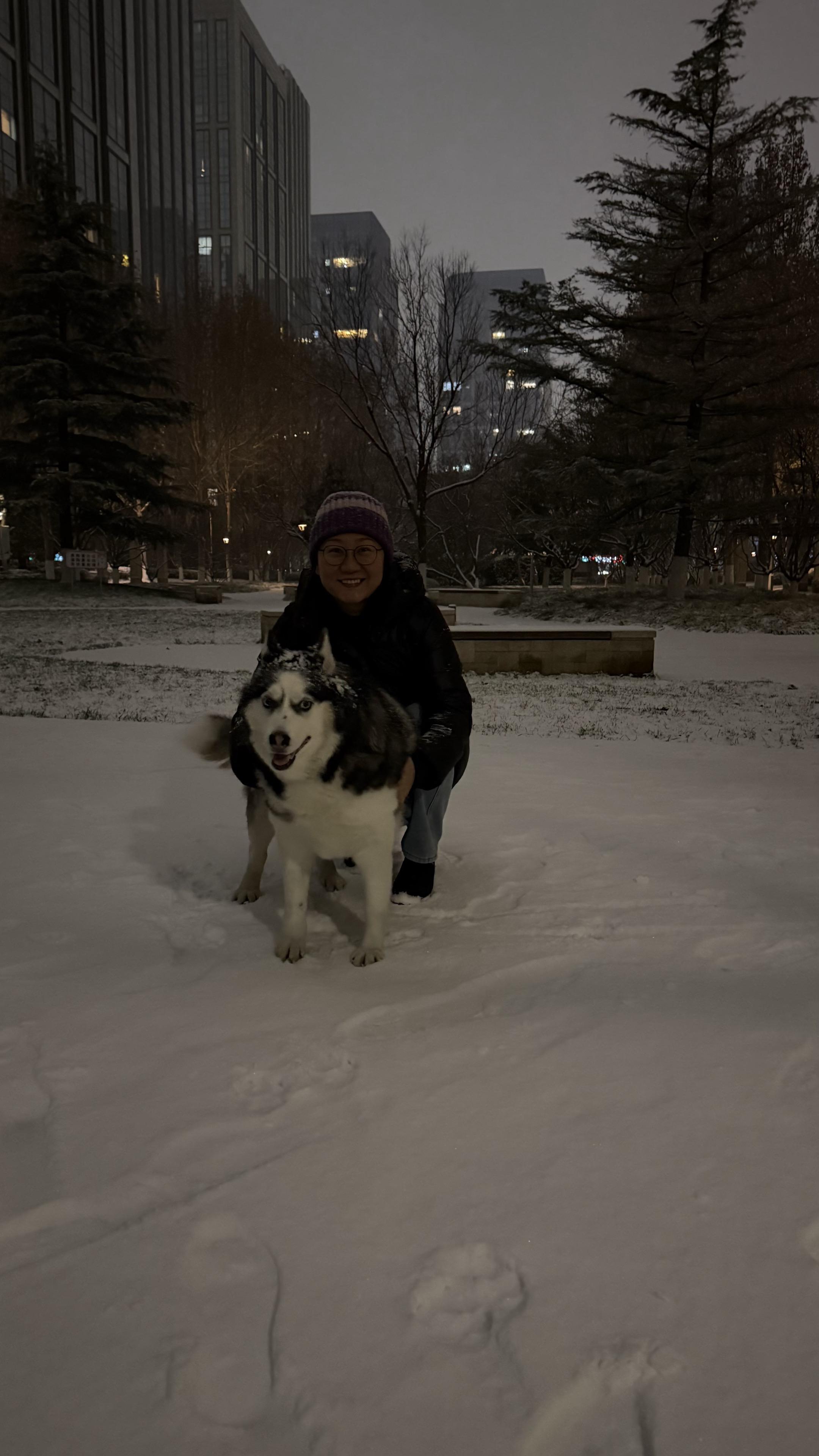 我的狗子属于冬天
