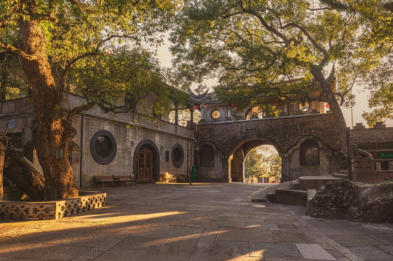 蒋家父子想要迁葬，那么当地准备了三个方案，分别是岩头村摩柯坡茶园、蒋母墓之百步阶
