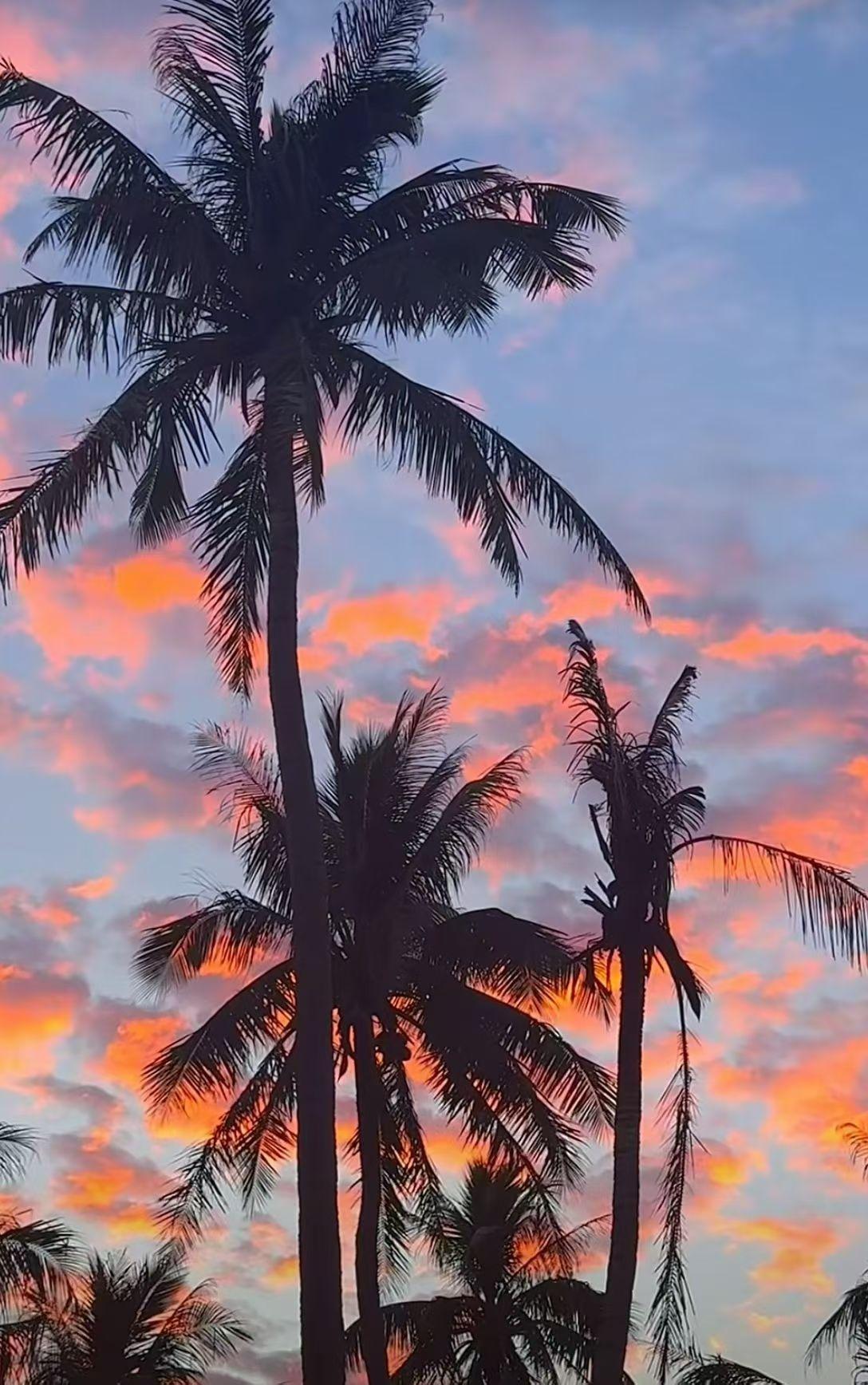 坐椰子树下，阳光正好，海风拂面，在这里不争朝夕，不言悲喜，只闻涛声……椰林海边风