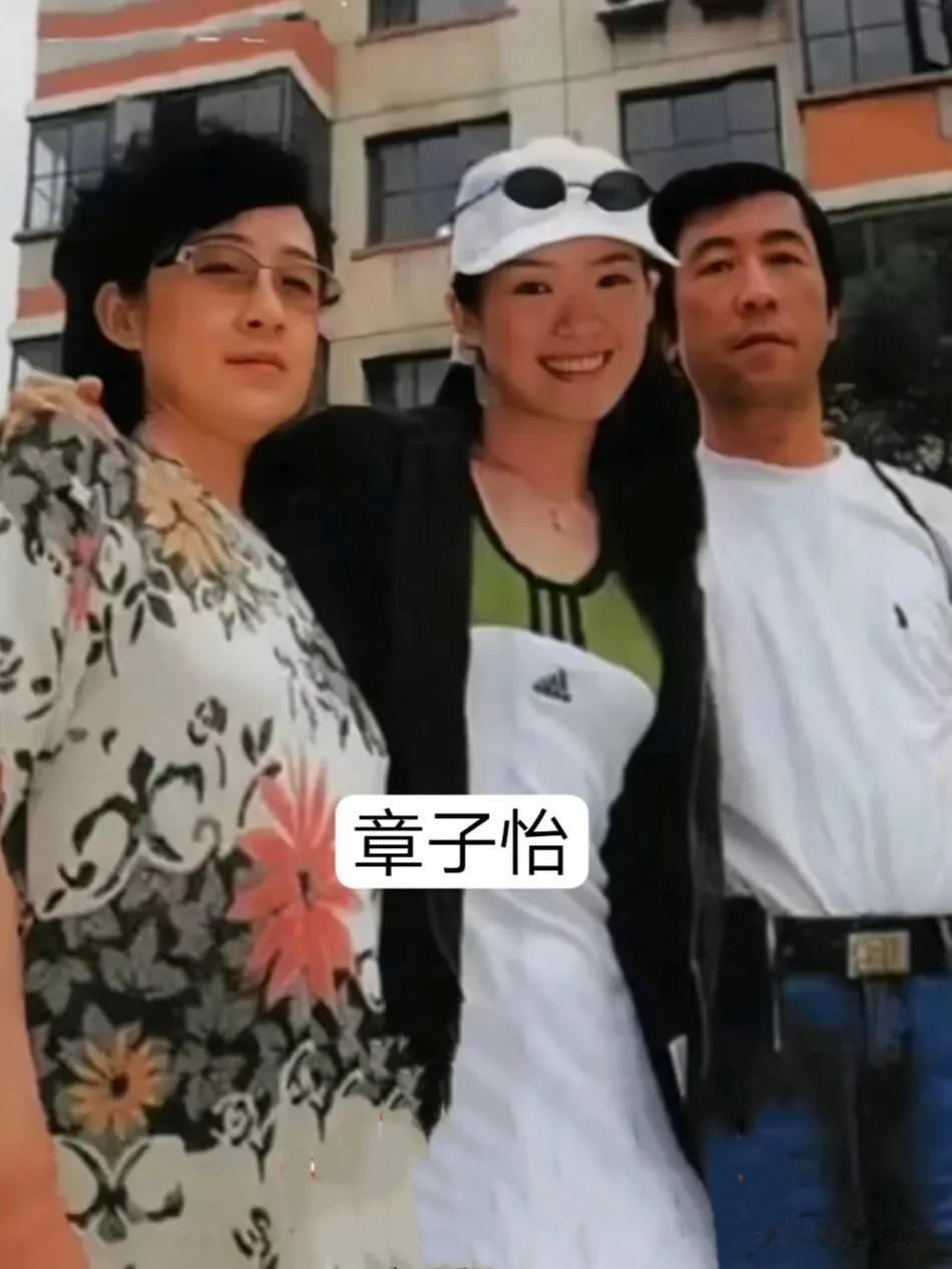 明星全家福