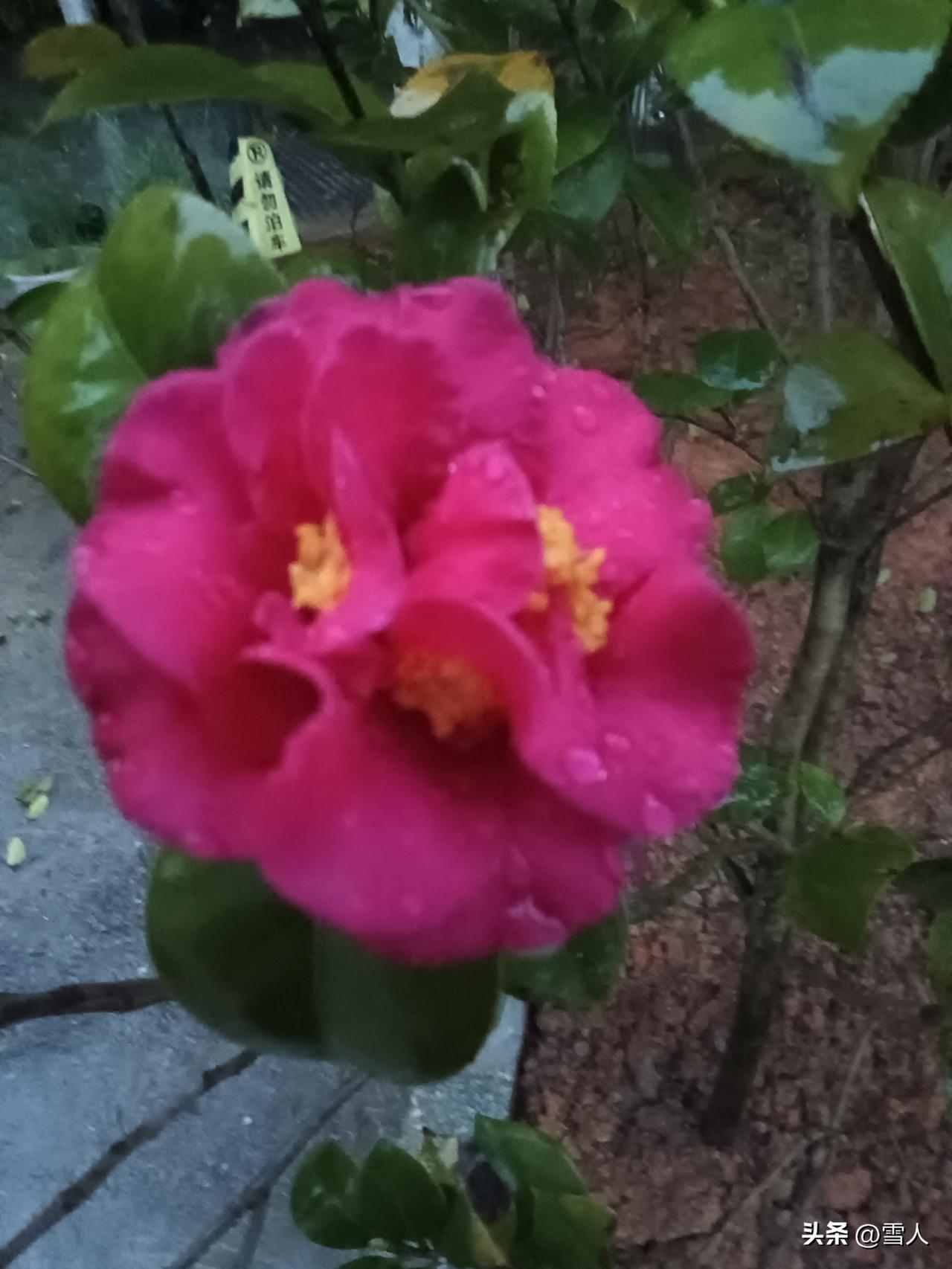 老话说，日子不可长算
可有些账，必须天天算
算清柴米油盐
也算清欲望的深浅
 