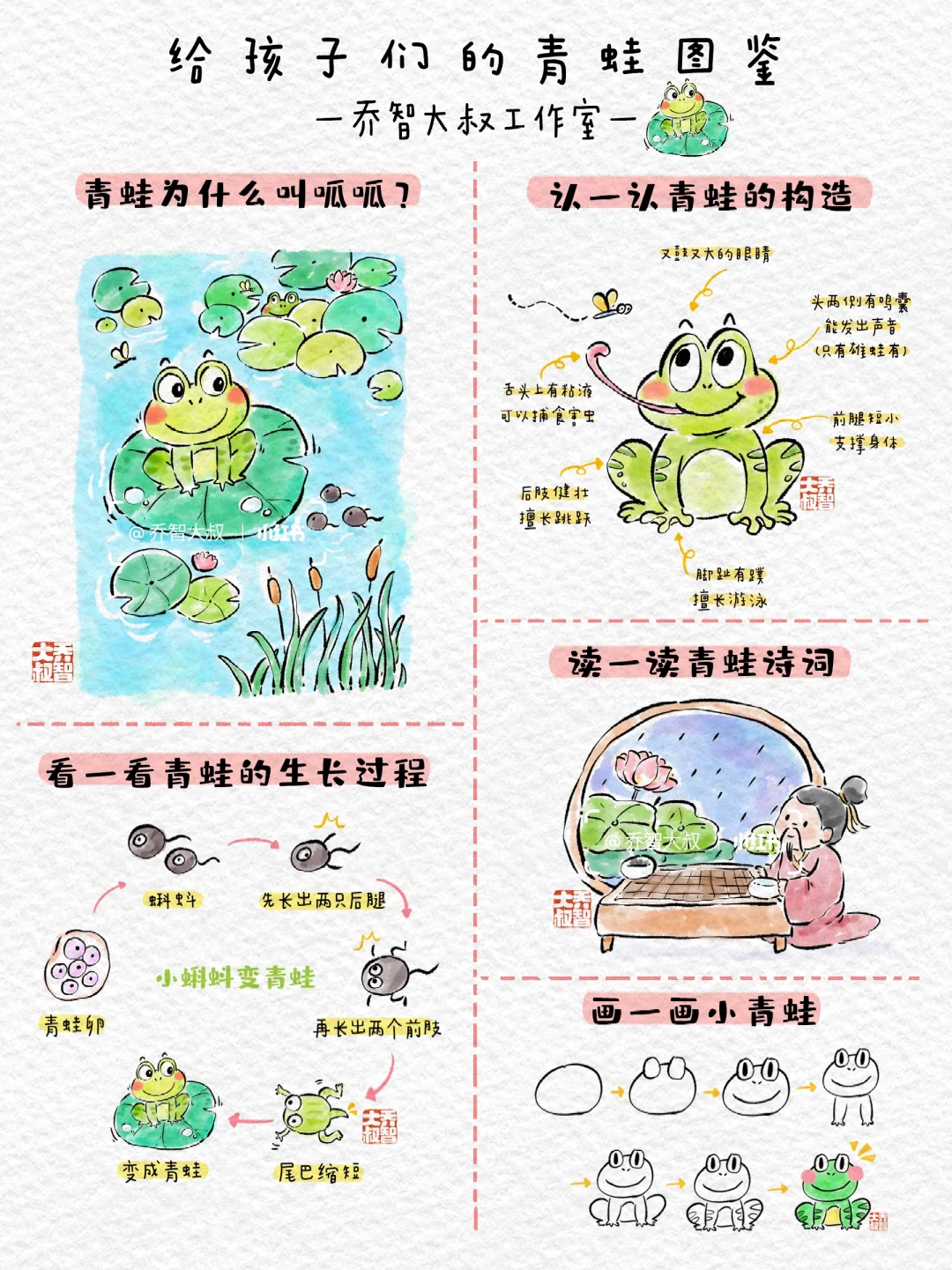 给孩子们的青蛙图鉴