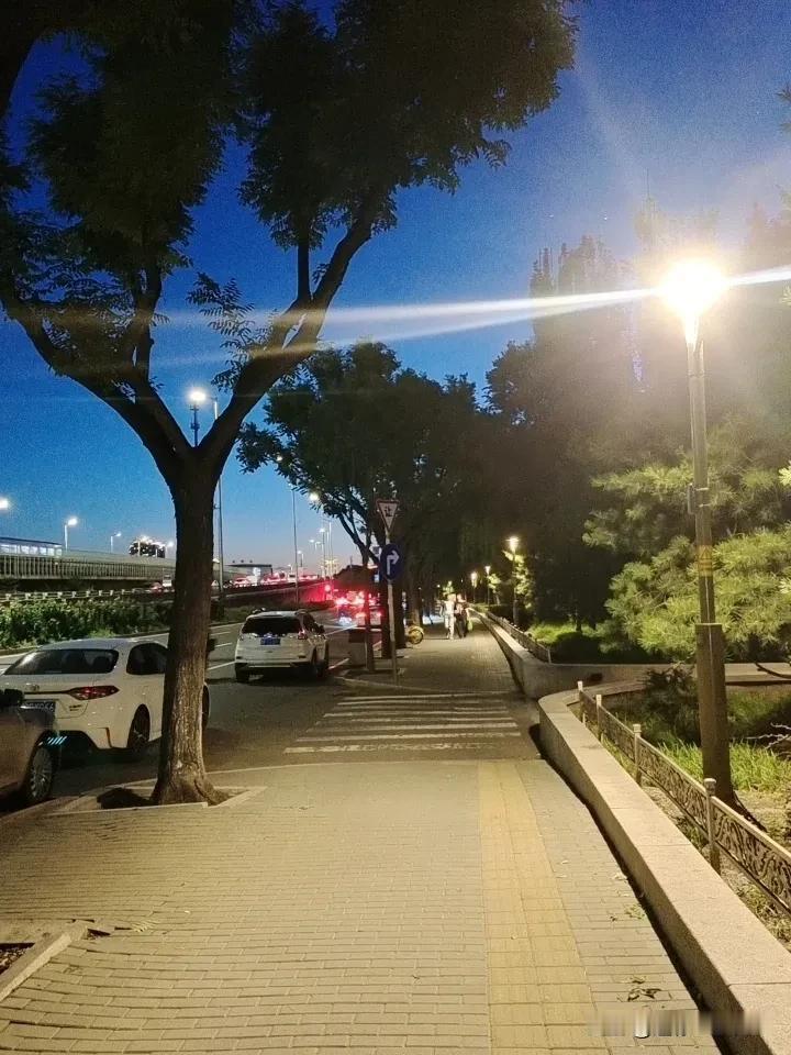 前方无人引路，后方无人托底，不问前路，只顾一腔孤勇，强撑着不说，心里累到了极致，