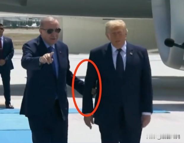 纵观国际政坛，土耳其总统埃尔多安绝对是最懂审时度势的高手，堪称突厥政坛的“变色龙