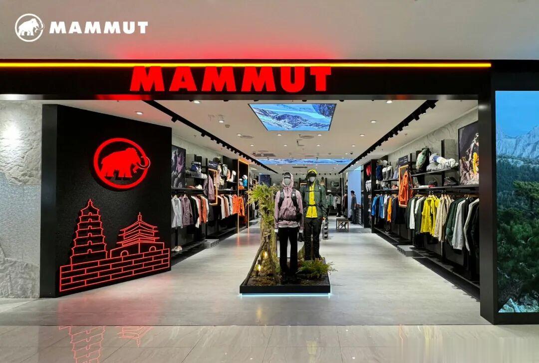 “下一个始祖鸟”，最可能是它？