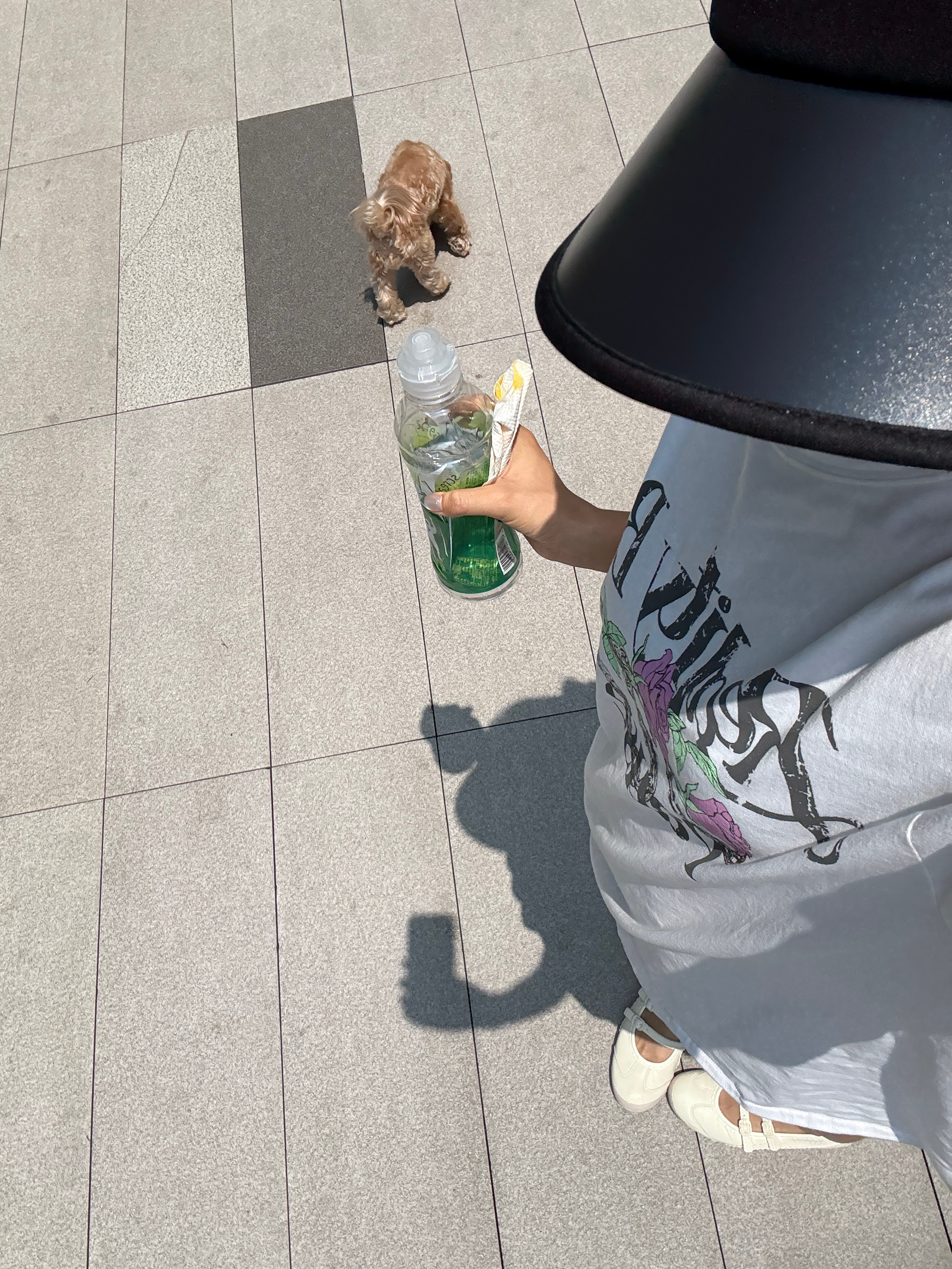 我在遛狗 也准备带小狗去健身嘿嘿 ​​​