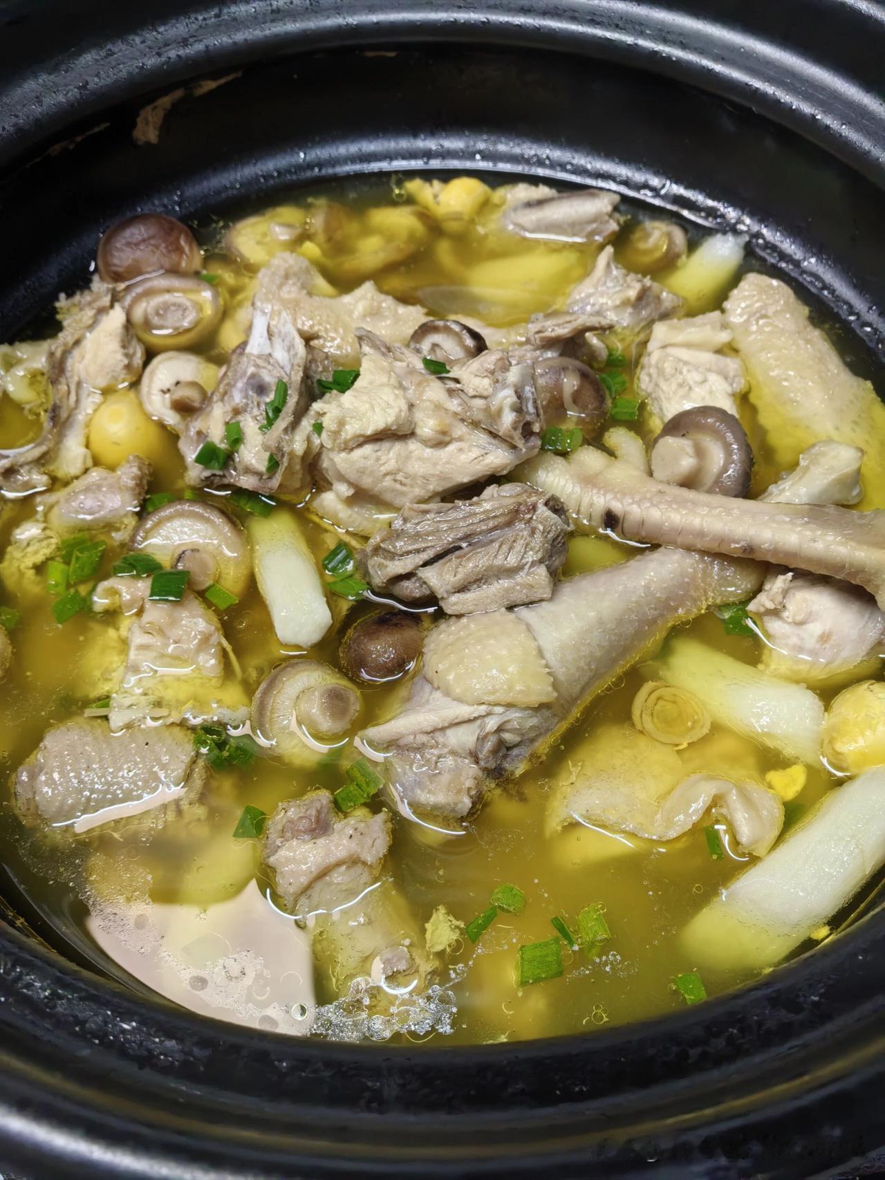 春日生活打卡季