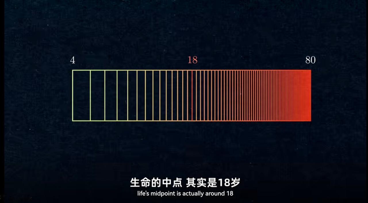 越长大，时间就过得越快。
 
网上有个说法：从4岁活到80岁，用对数视角算，人生