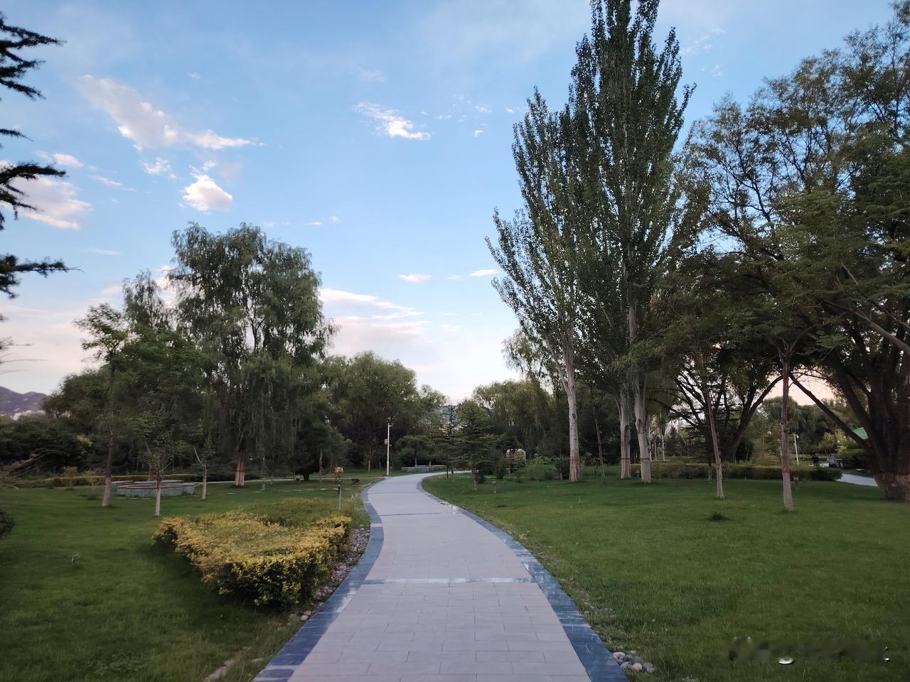 原创诗·又逢九月

时光飞逝
再一次被真切印证
仿佛还沉浸在回忆中
冷不丁
新的