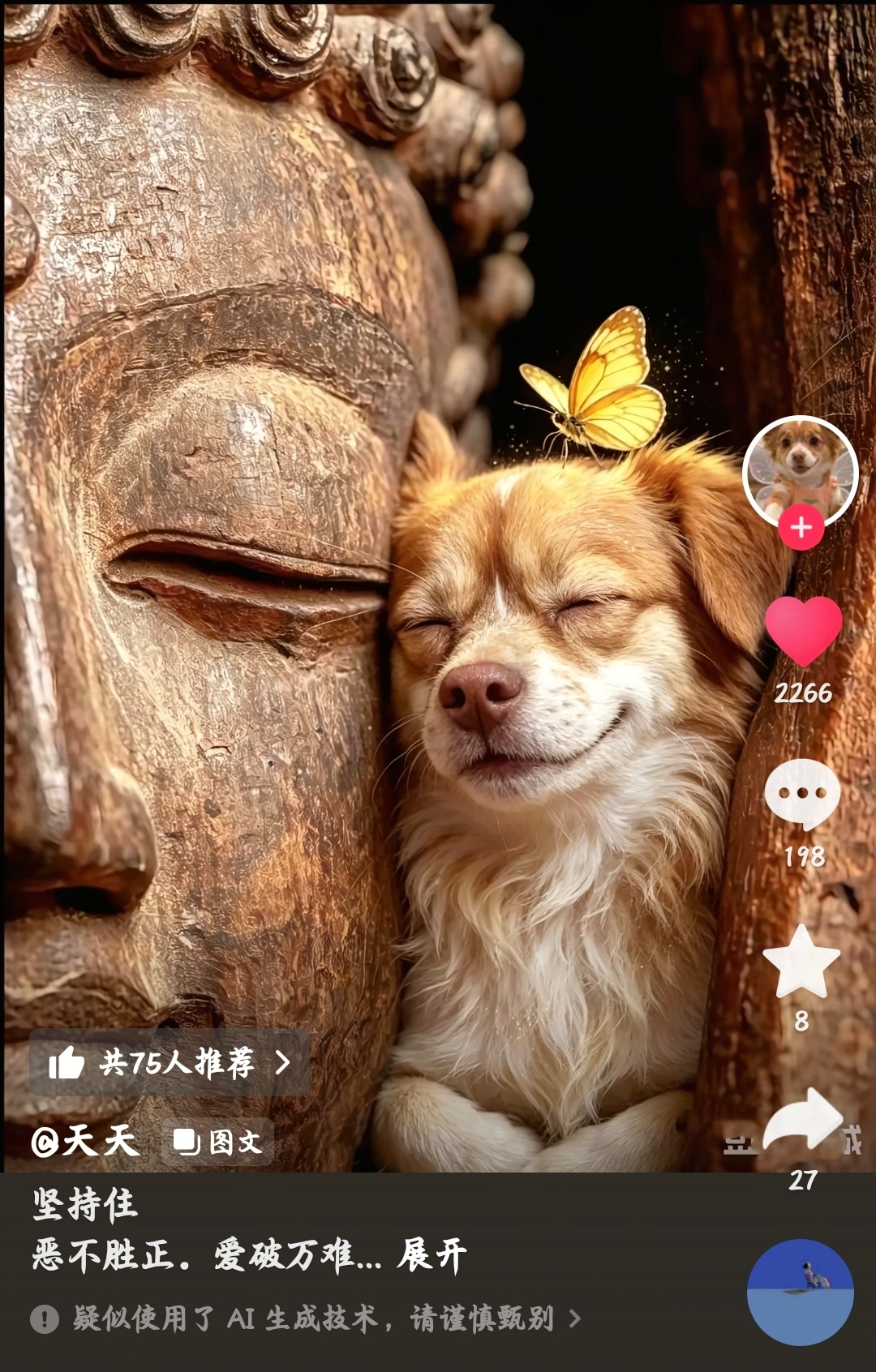 众生平等，无有高下🙏狗狗是人类的好朋友揭阳