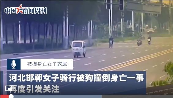如果把狗伤人视同狗主伤人，看谁还敢遛狗不牵绳？
        去年七月，河北邯