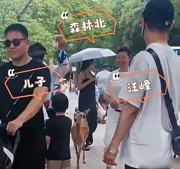 近日汪峰带新欢旧爱同游日本，章子怡儿子逗乐岳母，森林北发福被疑有喜？汪峰在音乐圈