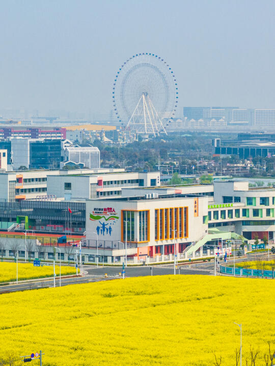 当前湾之眼🎡遇上油菜花海❗️美绝了❗️