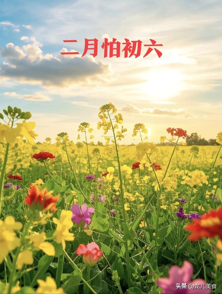 老话“二月怕初六”，明日二月初六，究竟怕啥？
 
明日便是农历二月初六，民间流传