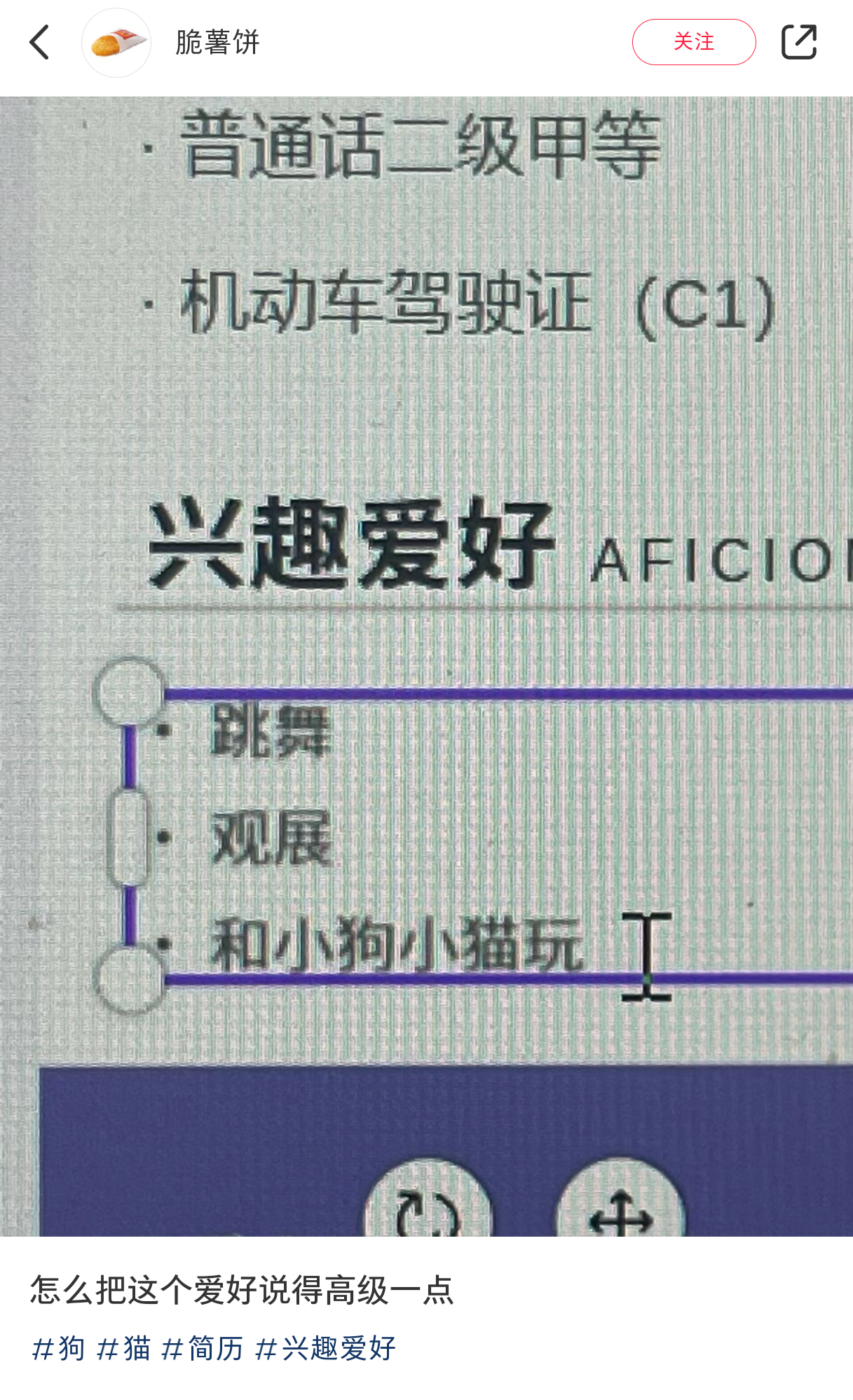 怎么把“和小狗小猫玩”说得高级一点#猫##狗狗##王力宏 歌手# ​​​