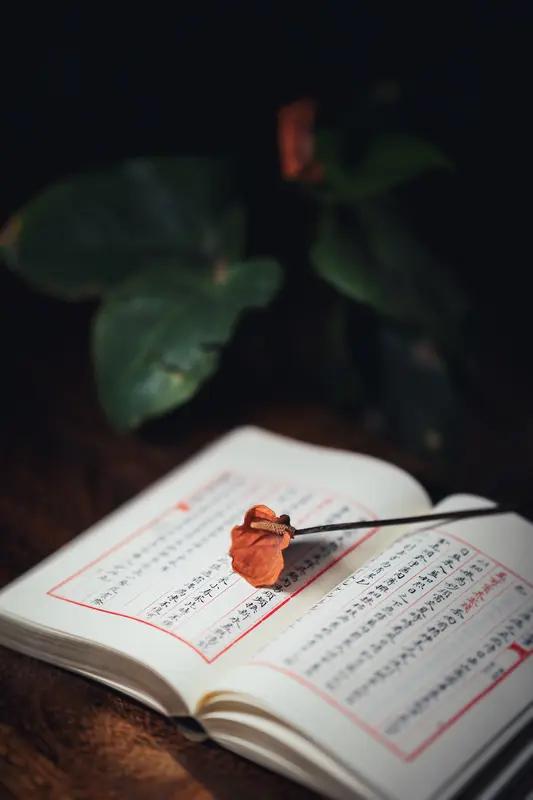 上联：腹有诗书神自逸；
下联：胸怀锦绣气如虹。