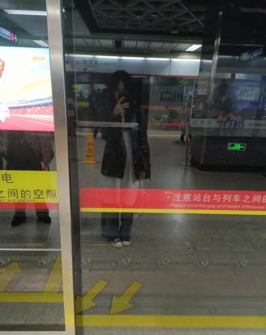 越秀公园好多猫猫
公园里的猫