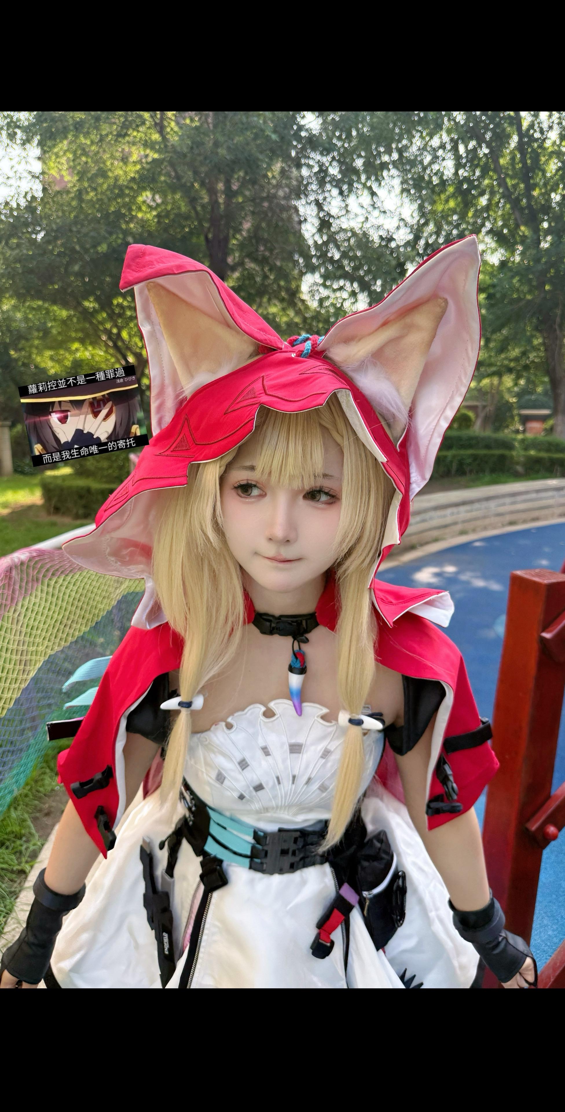 大狗狗，是狼🐺。 📷 🥰