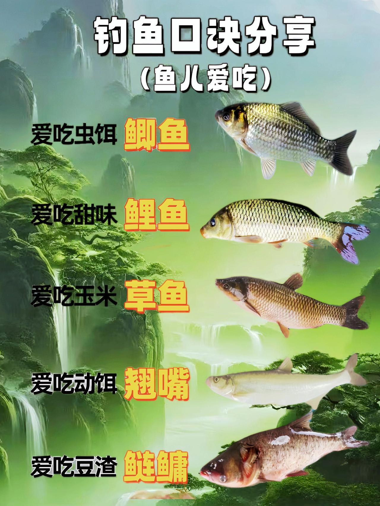上热门抖音上门 冷知识 抖音上门 抖音小助手dou上门