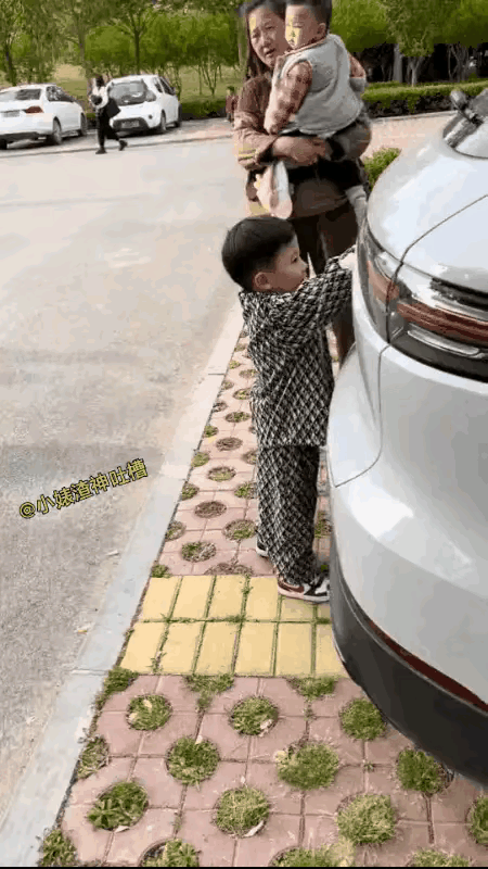 够危险的？
不过不得不承认，小家伙的臂力还是挺厉害，反应也很迅速，后门抬起的那一