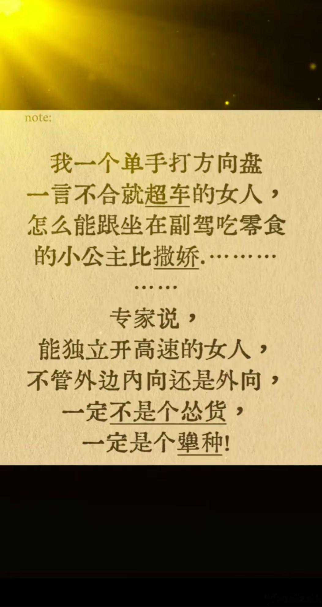我就是那个单手打方向盘，独立开高速的女人，只要是我认定的事情，必须得做