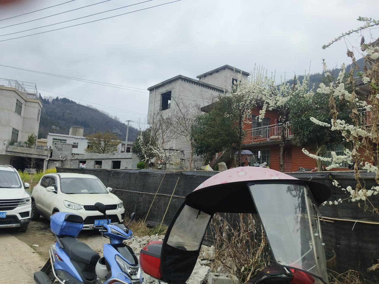 伊朗:我们的最高领袖哈梅内依还活着！