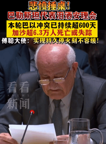 巴勒斯坦代表在联合国痛哭，令人动容！中国：实现持久停火刻不容缓！
这个世界最悲痛