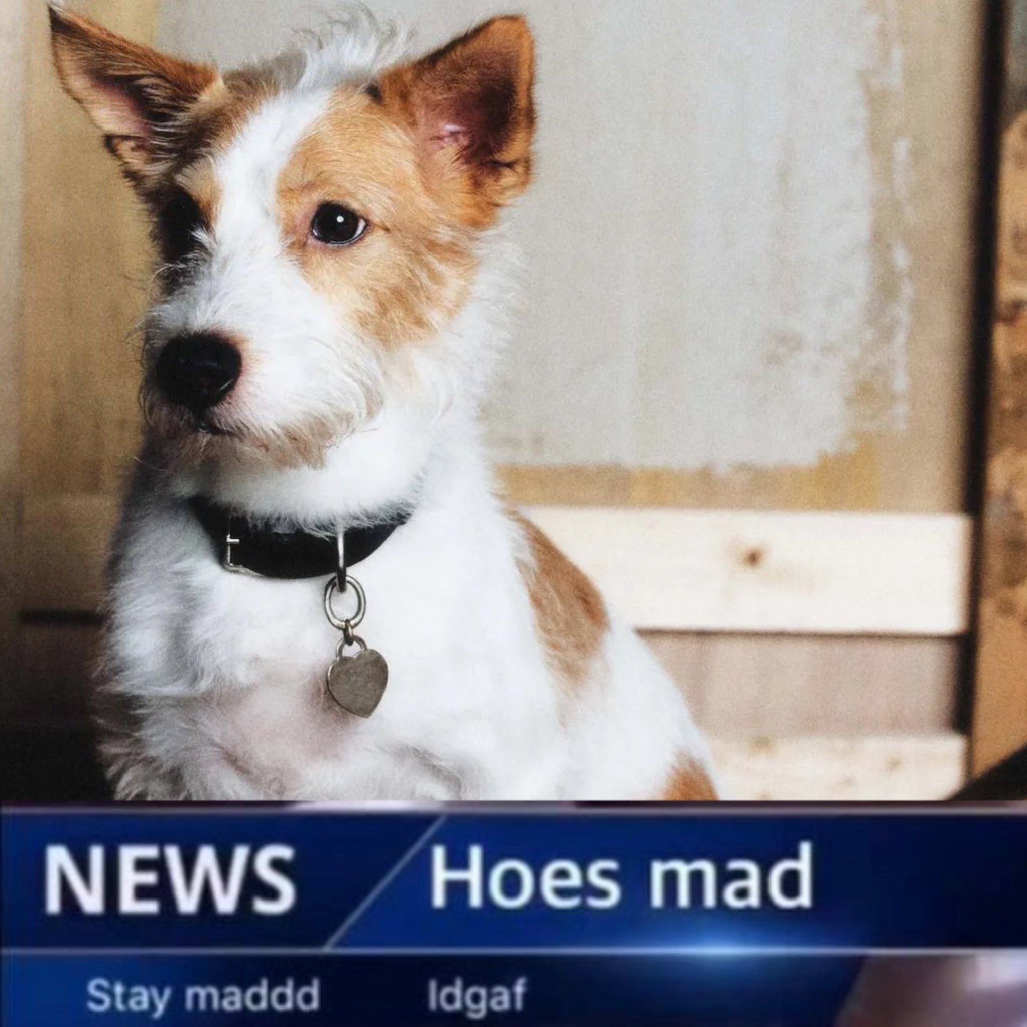 ： 