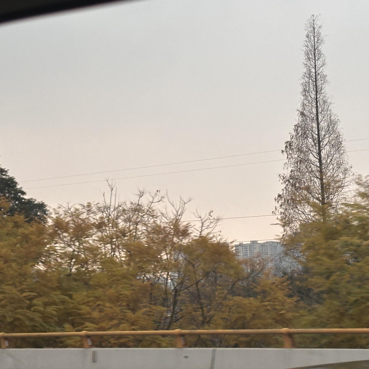 每天起早贪黑忙忙碌碌为的什么呀?每天早出晚归，都是为了生活加油，打工人明天会更好