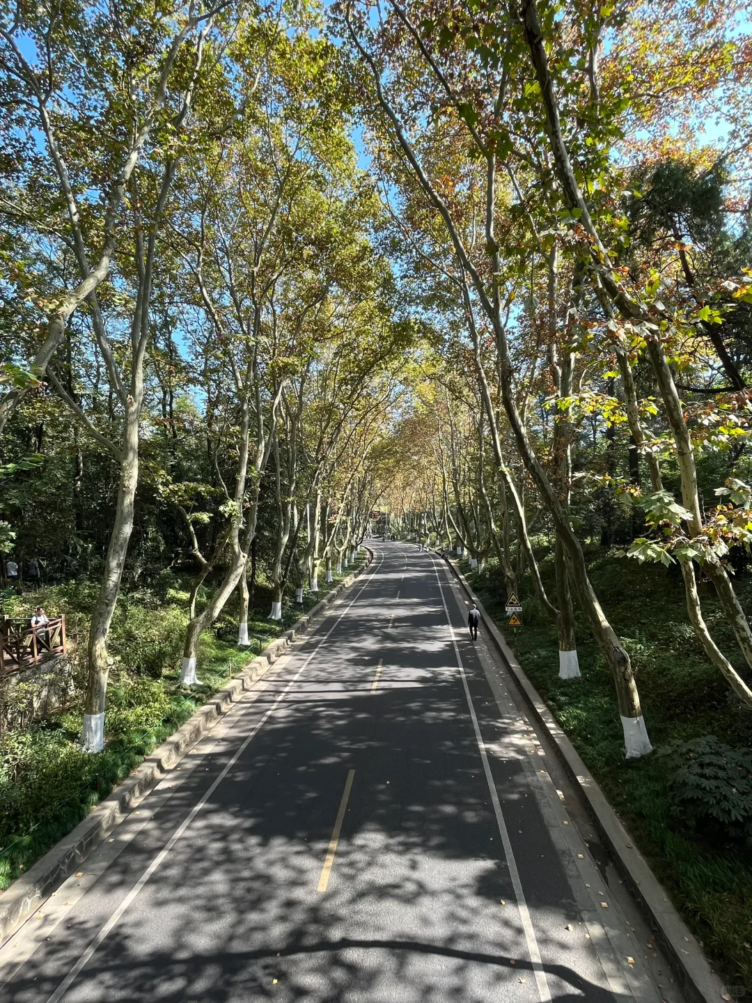 南京一日游旅行必备💯