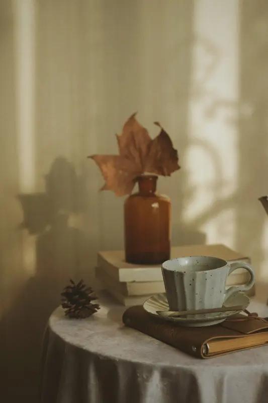 冬日生活打卡季 冬日生活，处处藏着小确幸。清晨，第一缕阳光照进房间，驱散了被窝外