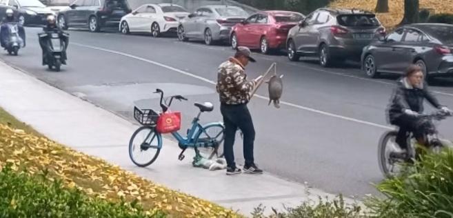 【乐山一男子路边叫卖 “野生甲鱼” 要价900？