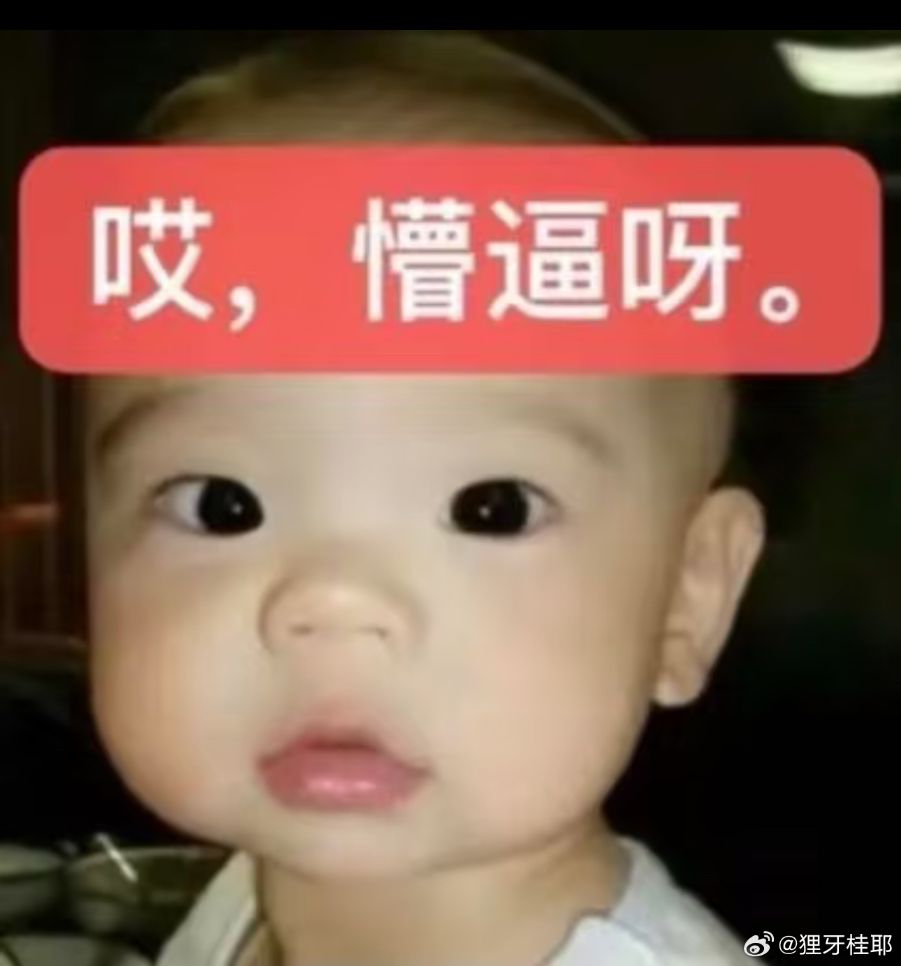分享图片 
