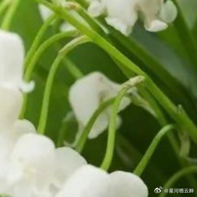 每日一善 善良是一种美德，善良是一种远见，善良是一种自信，善良是一种精神力量，善