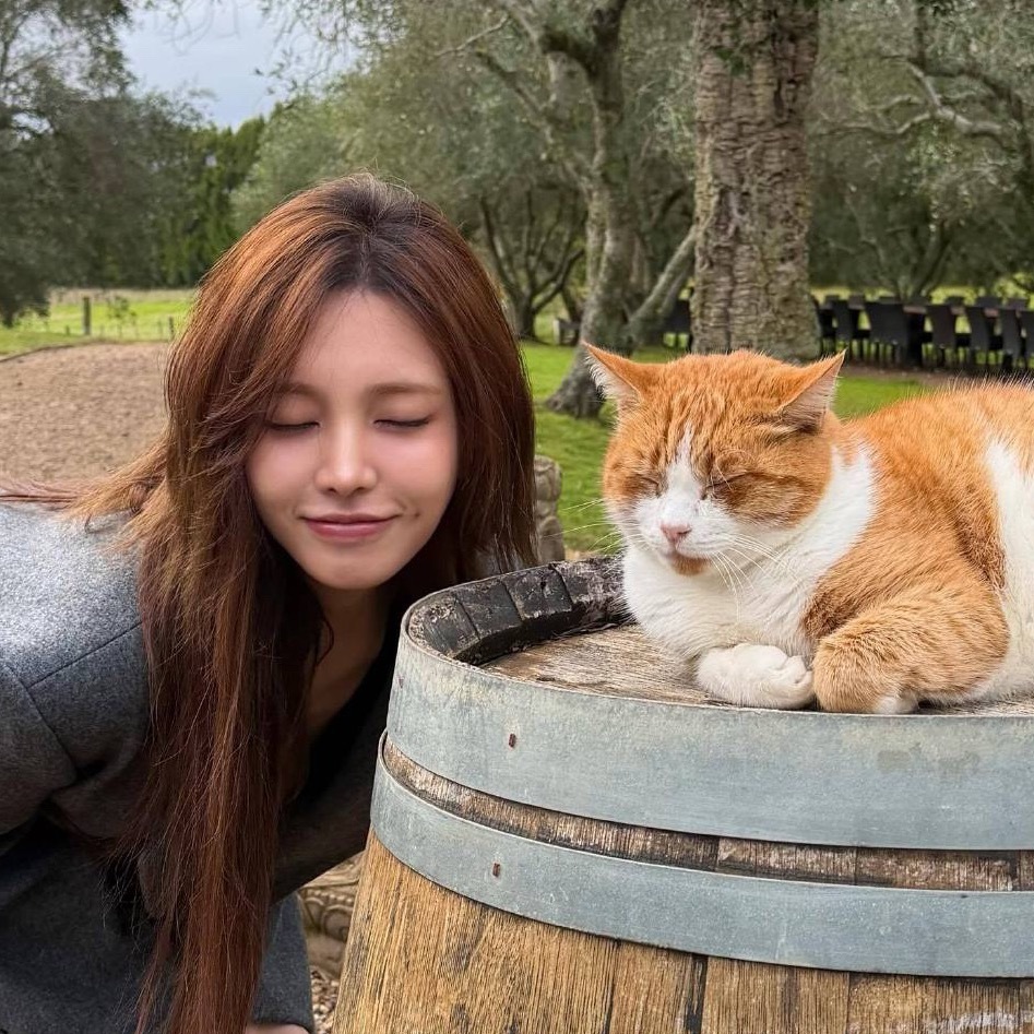 完全一比一复刻😽 