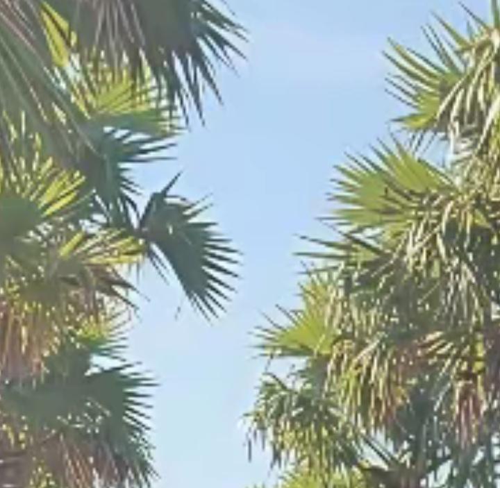 生活习惯不同，语言表达也有不同，普通话说害羞，广州话叫怕丑，以前单位很多北方人，